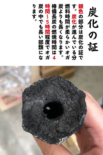 【TFS】椿備長炭P（オガ炭）10kg 業務用 白炭焼き 長時間燃焼 七輪 ジンギスカン インドネシア産オガ炭 火が着きにくいです（すいません）