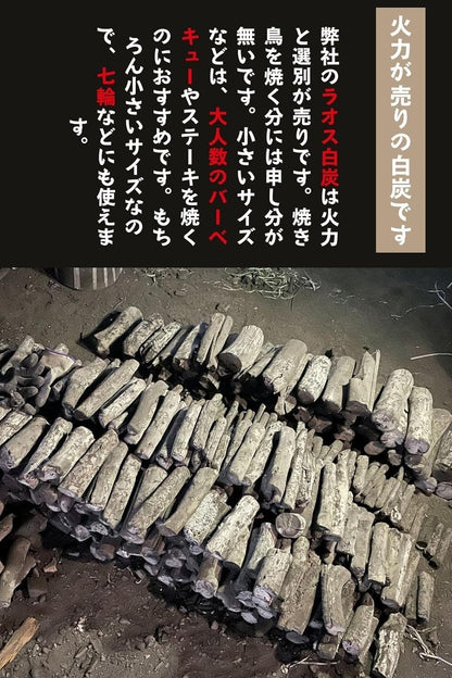 ラオス産 天然備長炭 15kg 荒割大- 業務用 白炭 キャンプ用 BBQ用 長時間燃焼 強火力 灰少なめ