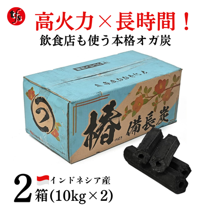 椿備長炭P（オガ炭）10kg